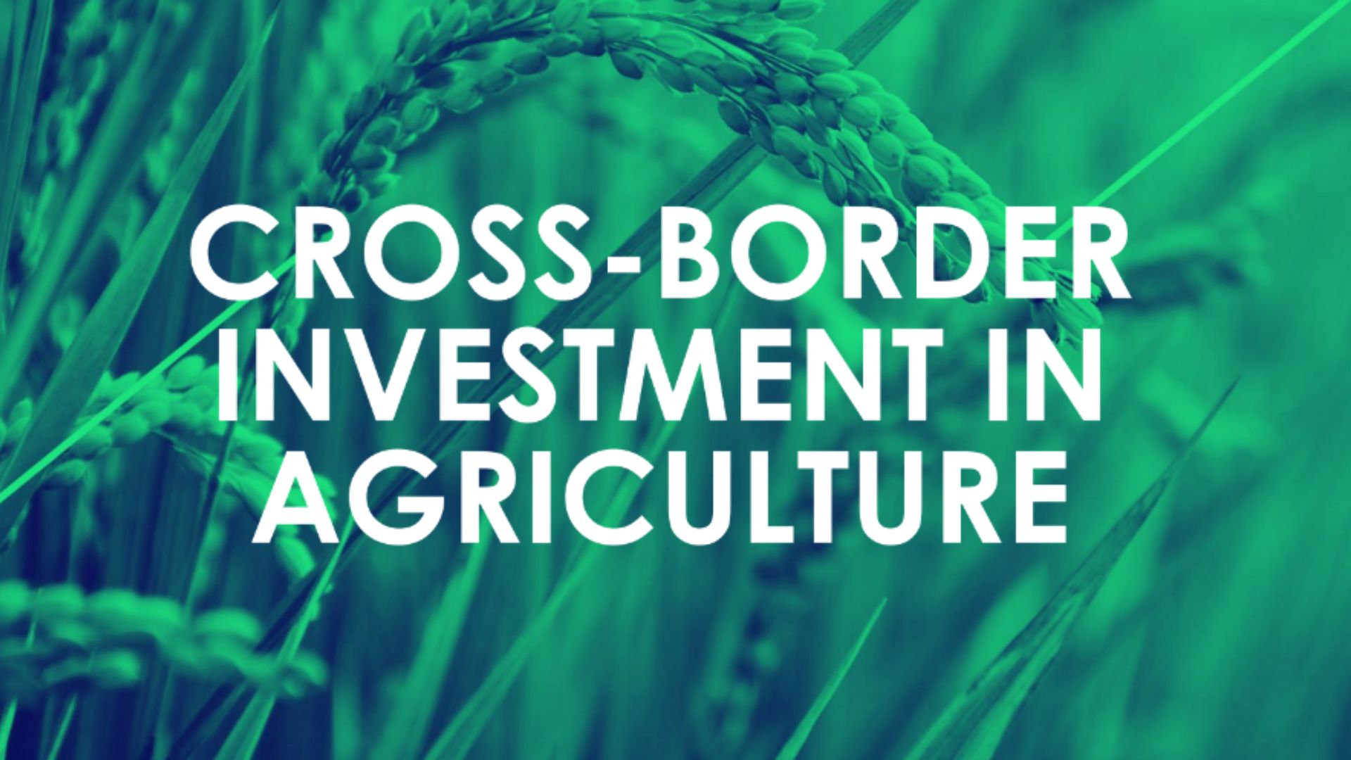 Cross-border Investment in Agriculture