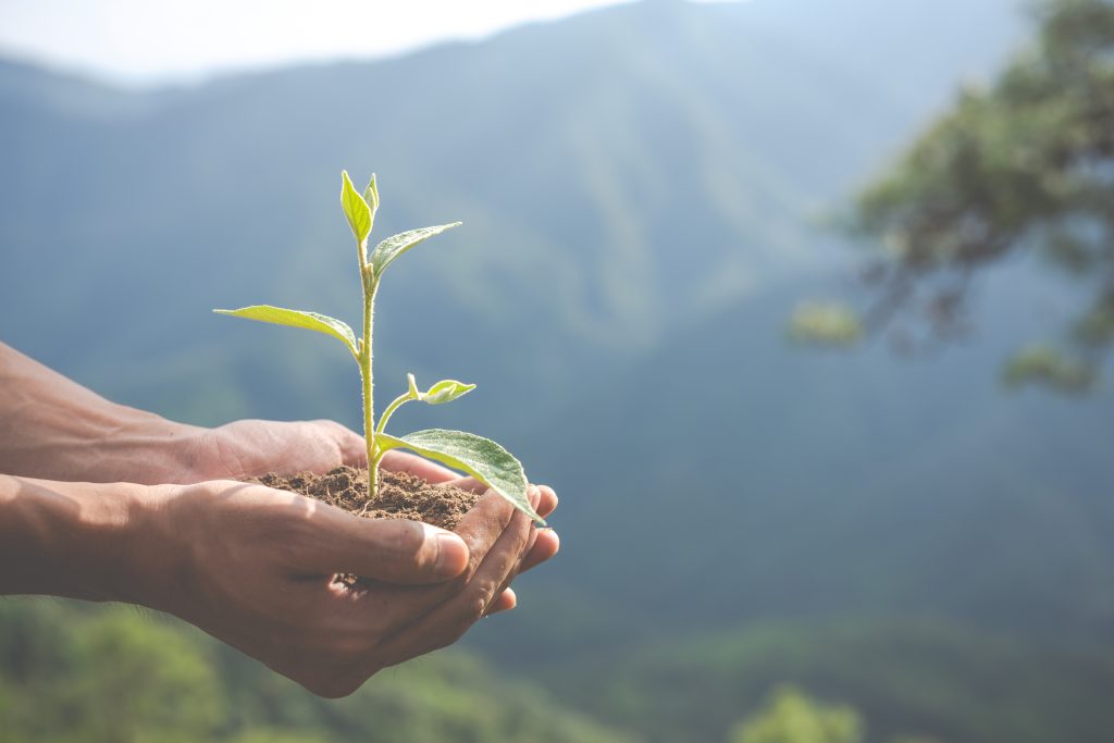 The United Nations Environment Programme (UNEP) and its partners will host a workshop on youth development of green skills for the circular economy.