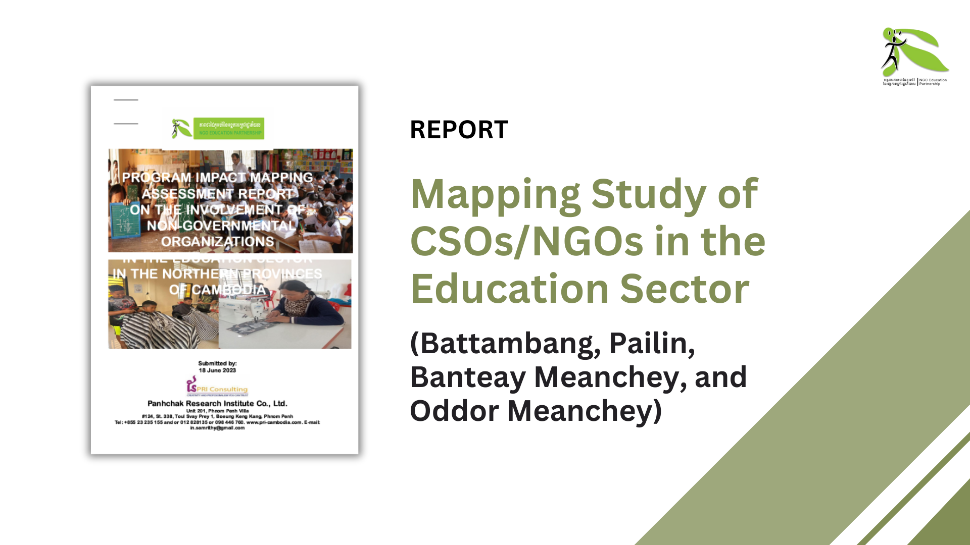 Civil Society Organization (CSO) Mapping Report